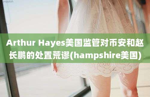 Arthur Hayes美国监管对币安和赵长鹏的处置荒谬(hampshire美国)