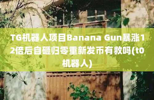 TG机器人项目Banana Gun暴涨12倍后自砸归零重新发币有救吗(t0机器人)