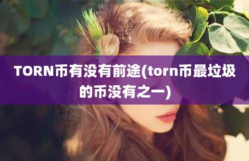 TORN币有没有前途(torn币最垃圾的币没有之一)