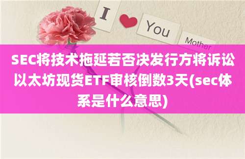 SEC将技术拖延若否决发行方将诉讼以太坊现货ETF审核倒数3天(sec体系是什么意思)