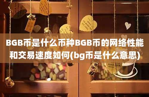 BGB币是什么币种BGB币的网络性能和交易速度如何(bg币是什么意思)