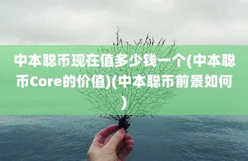 中本聪币现在值多少钱一个(中本聪币Core的价值)(中本聪币前景如何)