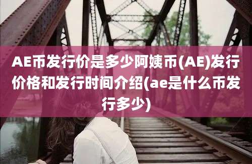 AE币发行价是多少阿姨币(AE)发行价格和发行时间介绍(ae是什么币发行多少)