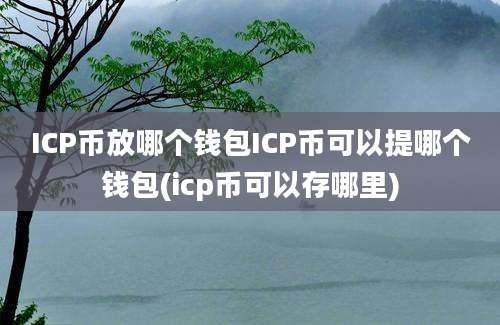 ICP币放哪个钱包ICP币可以提哪个钱包(icp币可以存哪里)