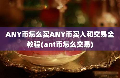 ANY币怎么买ANY币买入和交易全教程(ant币怎么交易)