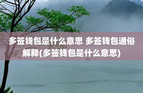 多签钱包是什么意思 多签钱包通俗解释(多签钱包是什么意思)