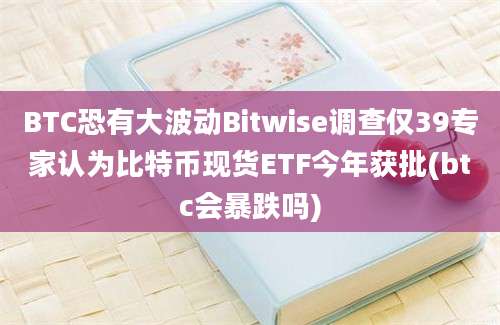 BTC恐有大波动Bitwise调查仅39专家认为比特币现货ETF今年获批(btc会暴跌吗)