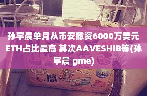 孙宇晨单月从币安撤资6000万美元ETH占比最高 其次AAVESHIB等(孙宇晨 gme)