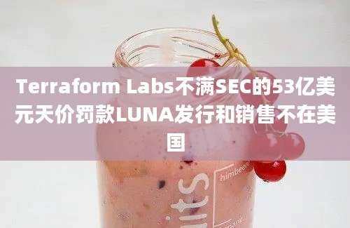 Terraform Labs不满SEC的53亿美元天价罚款LUNA发行和销售不在美国