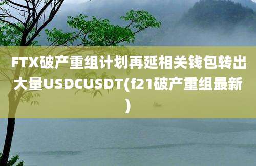 FTX破产重组计划再延相关钱包转出大量USDCUSDT(f21破产重组最新)