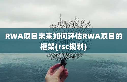 RWA项目未来如何评估RWA项目的框架(rsc规划)