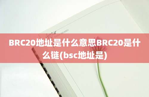 BRC20地址是什么意思BRC20是什么链(bsc地址是)