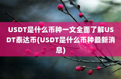 USDT是什么币种一文全面了解USDT泰达币(USDT是什么币种最新消息)