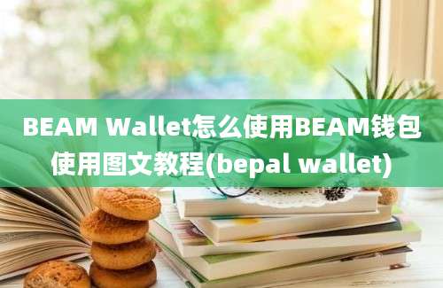 BEAM Wallet怎么使用BEAM钱包使用图文教程(bepal wallet)