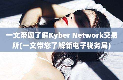 一文带您了解Kyber Network交易所(一文带您了解新电子税务局)