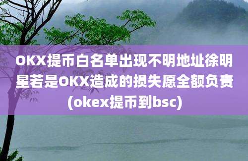 OKX提币白名单出现不明地址徐明星若是OKX造成的损失愿全额负责(okex提币到bsc)