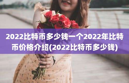 2022比特币多少钱一个2022年比特币价格介绍(2022比特币多少钱)