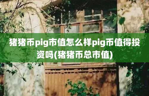 猪猪币pig市值怎么样pig币值得投资吗(猪猪币总市值)