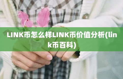 LINK币怎么样LINK币价值分析(link币百科)