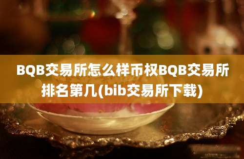 BQB交易所怎么样币权BQB交易所排名第几(bib交易所下载)