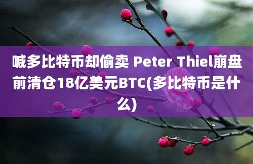 喊多比特币却偷卖 Peter Thiel崩盘前清仓18亿美元BTC(多比特币是什么)