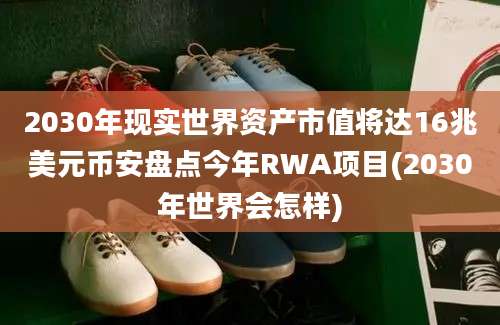 2030年现实世界资产市值将达16兆美元币安盘点今年RWA项目(2030年世界会怎样)