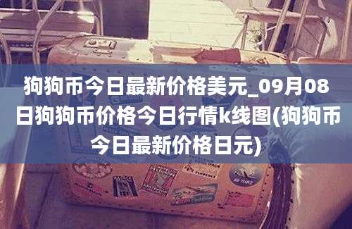 狗狗币今日最新价格美元_09月08日狗狗币价格今日行情k线图(狗狗币今日最新价格日元)