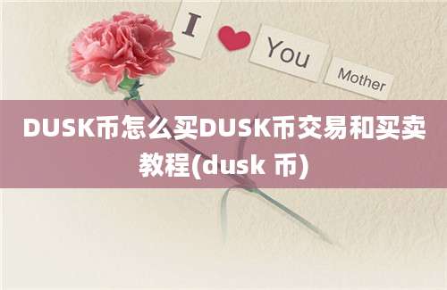 DUSK币怎么买DUSK币交易和买卖教程(dusk 币)