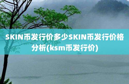 SKIN币发行价多少SKIN币发行价格分析(ksm币发行价)