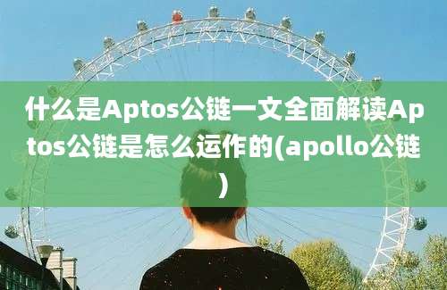 什么是Aptos公链一文全面解读Aptos公链是怎么运作的(apollo公链)