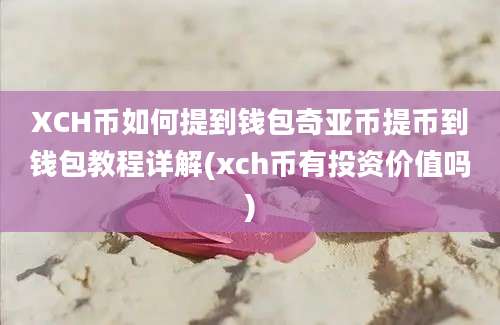 XCH币如何提到钱包奇亚币提币到钱包教程详解(xch币有投资价值吗)