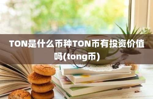 TON是什么币种TON币有投资价值吗(tong币)