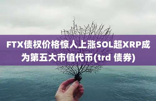 FTX债权价格惊人上涨SOL超XRP成为第五大市值代币(trd 债券)