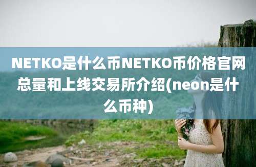 NETKO是什么币NETKO币价格官网总量和上线交易所介绍(neon是什么币种)