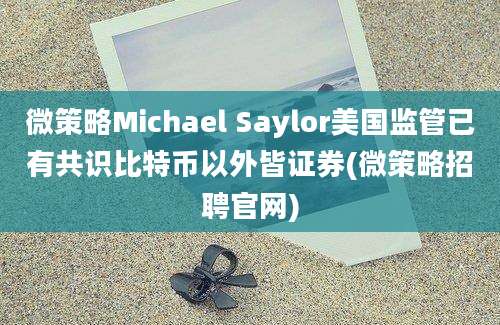 微策略Michael Saylor美国监管已有共识比特币以外皆证券(微策略招聘官网)