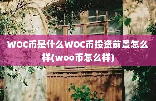 WOC币是什么WOC币投资前景怎么样(woo币怎么样)