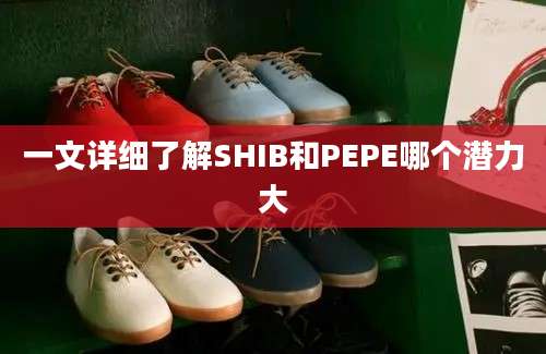 一文详细了解SHIB和PEPE哪个潜力大