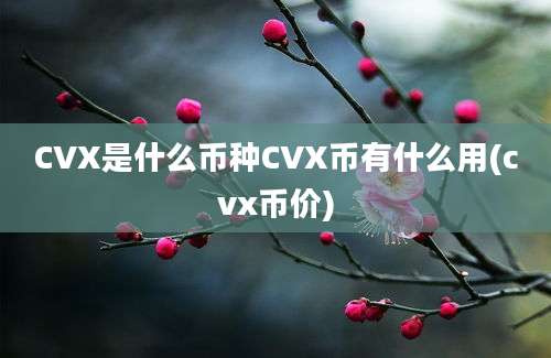 CVX是什么币种CVX币有什么用(cvx币价)