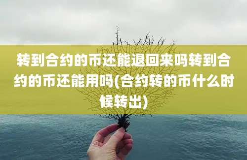 转到合约的币还能退回来吗转到合约的币还能用吗(合约转的币什么时候转出)