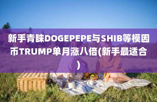 新手青睐DOGEPEPE与SHIB等模因币TRUMP单月涨八倍(新手最适合)