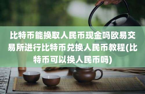 比特币能换取人民币现金吗欧易交易所进行比特币兑换人民币教程(比特币可以换人民币吗)