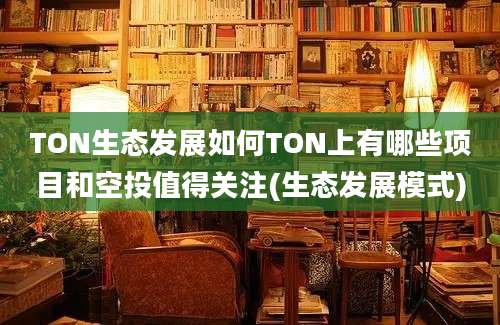 TON生态发展如何TON上有哪些项目和空投值得关注(生态发展模式)