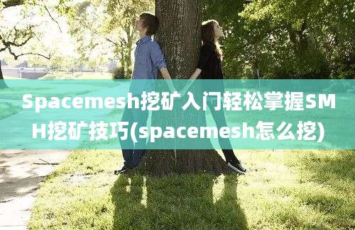 Spacemesh挖矿入门轻松掌握SMH挖矿技巧(spacemesh怎么挖)