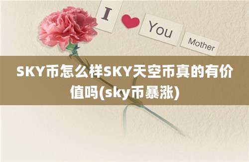 SKY币怎么样SKY天空币真的有价值吗(sky币暴涨)