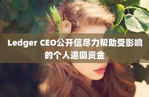 Ledger CEO公开信尽力帮助受影响的个人追回资金