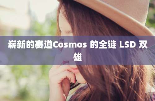 崭新的赛道Cosmos 的全链 LSD 双雄