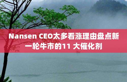 Nansen CEO太多看涨理由盘点新一轮牛市的11 大催化剂