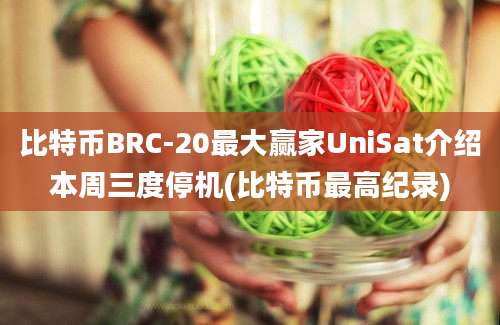 比特币BRC-20最大赢家UniSat介绍本周三度停机(比特币最高纪录)