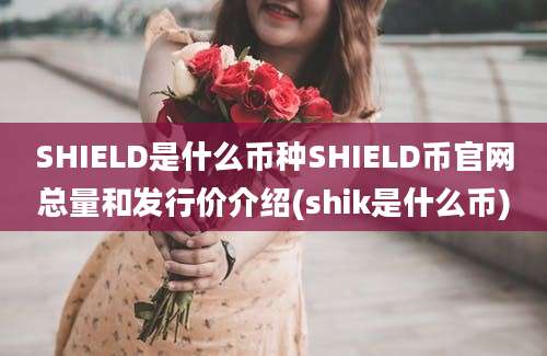 SHIELD是什么币种SHIELD币官网总量和发行价介绍(shik是什么币)