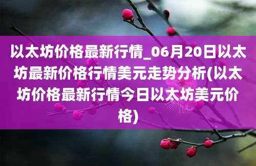 以太坊价格最新行情_06月20日以太坊最新价格行情美元走势分析(以太坊价格最新行情今日以太坊美元价格)